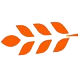 Action ARMGD