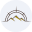 Action BAR