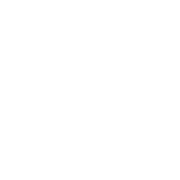 Action SBTC