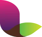 Action LVRO.F
