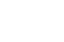 Action ELCONDOR
