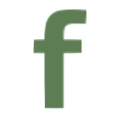 Action FABRINET03