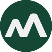 Action MONEYVIEW