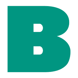 Logo Badger Infrastructure Solutions Ltd.