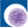 Action RGBP