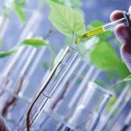 Action AGRO