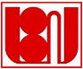 Action BUDI