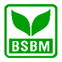 Action BSBM