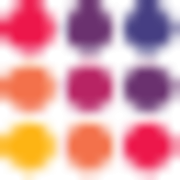 Action SCAN