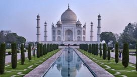 Avanti Feeds' subsidiary enters pet food market in India