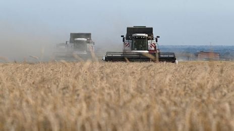Rohstoff-Überblick:  Niedrige Preise stimulieren die Getreidenachfrage