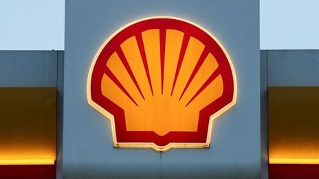 Shell shows surprising resilience