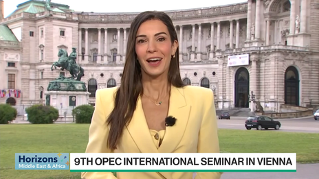 OPEC Seminar in Vienna:  What to Expect