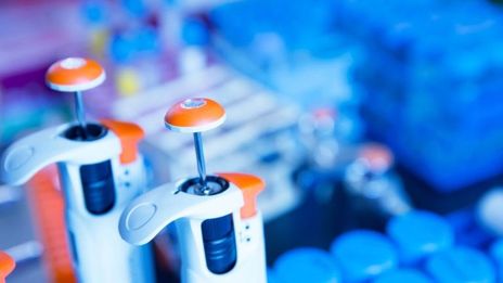 Medpace jumps 15%, order rebound eases fears