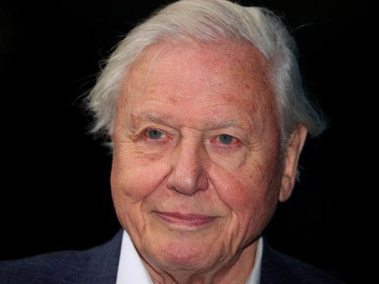David Attenborough